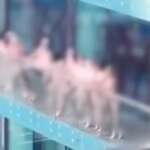 ruskinje uhapsene u dubaiju