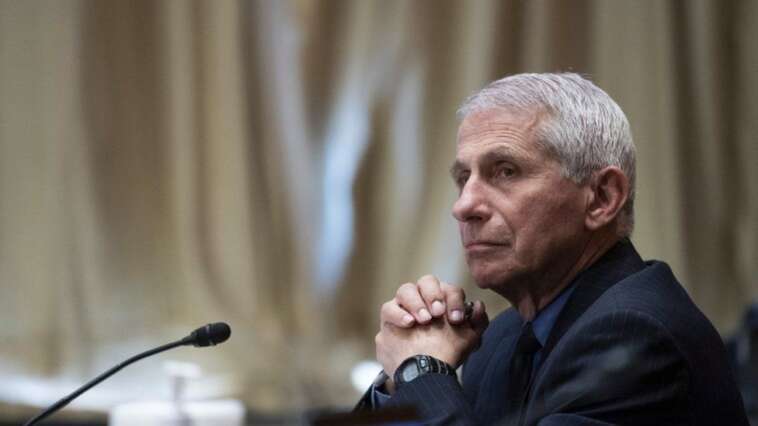 anthony fauci