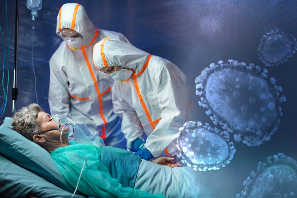 korona virus